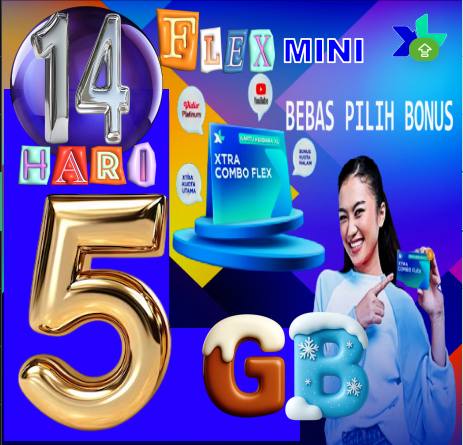 VCR XL FLEXMINI 5GB 14hari