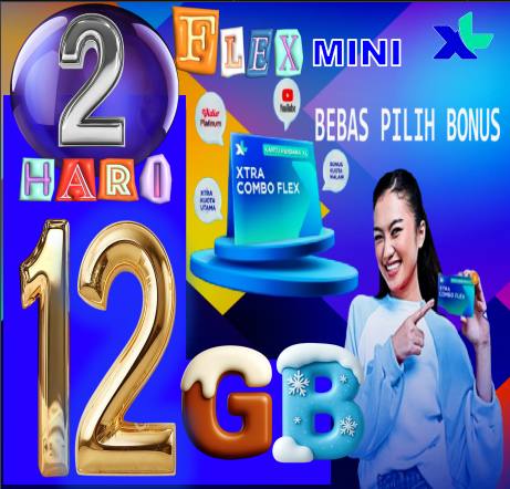 VCR XL FLAXMINI 12GB 2hari