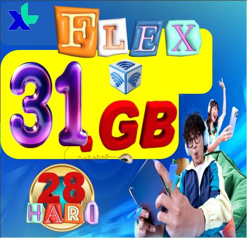 VCR XL FLEXMAX 31GB 28hari