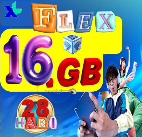 VCR XL FLEXMAX 16GB 28hari