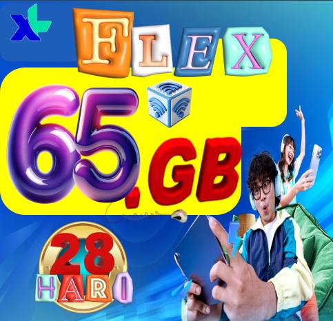 VCR XL FLEXMAX 65GB 28hari