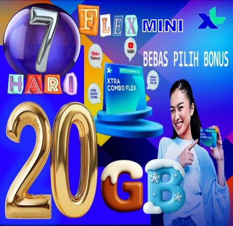 VCR XL FLEXMINI 20GB 7hari PROMO