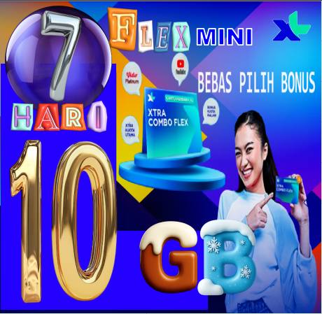 VCR XL FLEXMINI 10GB 7HARI