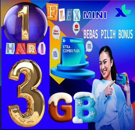 VCR XL FLAXMINI 5GB 1hari