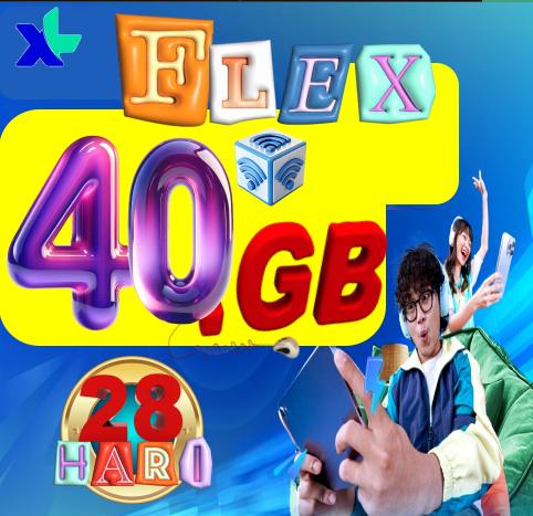VCR XL FLEXMAX 40GB 28hari