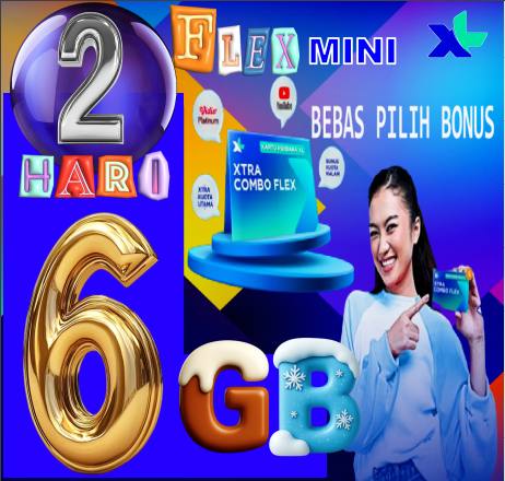 VCR XL FLAXMINI 6GB 2hari