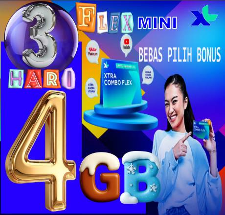 VCR XL FLAXMINI 4GB 3hari