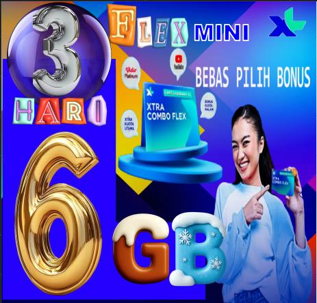 VCR XL FLAXMINI 6GB 3hari
