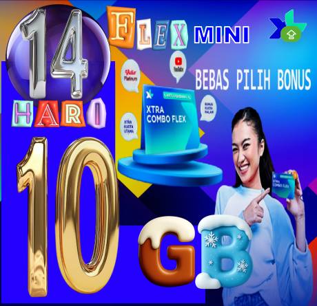 VCR XL FLEXMINI 10GB 14hari